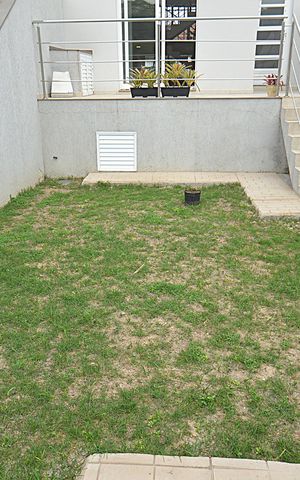 Casa à venda com 220m², 3 quartos e 2 vagasQuintal