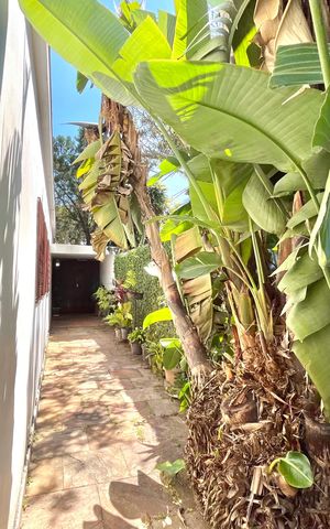 Casa para alugar com 250m², 3 quartos e 6 vagas Casa para alugar com 250m², 3 quartos e 6 vagasÁrea externa