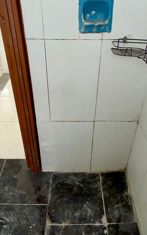 Apartamento à venda com 62m², 2 quartos e 1 vaga Apartamento à venda com 62m², 2 quartos e 1 vagaBanheiro