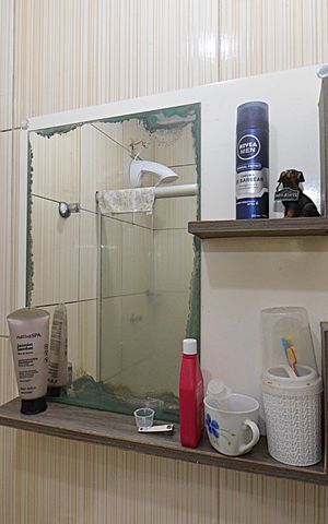 Apartamento à venda com 41m², 1 quarto e 1 vagaBanheiro 