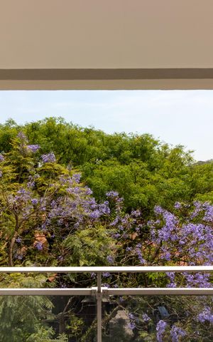 Apartamento à venda com 237m², 4 quartos e 3 vagas Apartamento à venda com 237m², 4 quartos e 3 vagasVista do Quarto 1