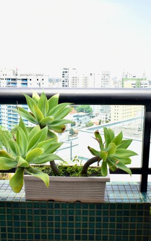 Apartamento à venda com 230m², 3 quartos e 4 vagas Apartamento à venda com 230m², 3 quartos e 4 vagasSuíte 2