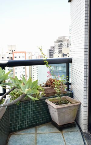Apartamento à venda com 230m², 3 quartos e 4 vagas Apartamento à venda com 230m², 3 quartos e 4 vagasSuíte 2