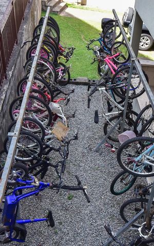 Apartamento para alugar com 52m², 3 quartos e 1 vagaÁrea Comum - Bicicletário