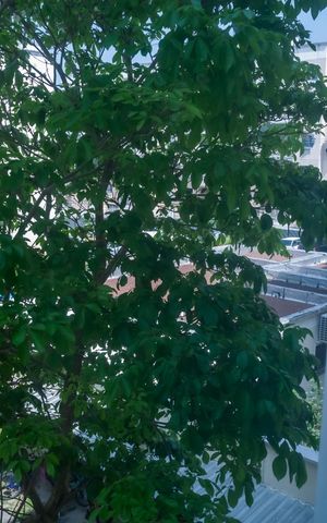 Apartamento à venda com 56m², 3 quartos e 1 vagaVista Quarto 3
