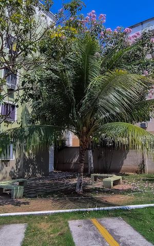 Apartamento à venda com 56m², 3 quartos e 1 vagaÁrea comum