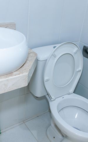 Apartamento à venda com 56m², 3 quartos e 1 vagaBanheiro