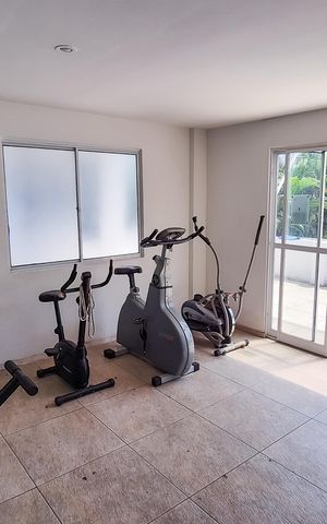 Apartamento à venda com 56m², 2 quartos e 1 vagaÁrea comum - Academia