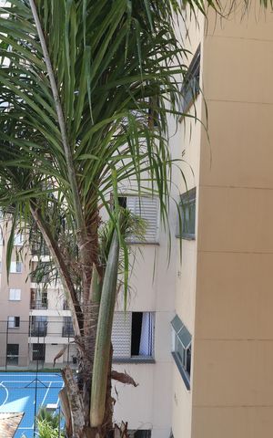 Apartamento à venda com 61m², 3 quartos e 1 vagaVista Quarto 2