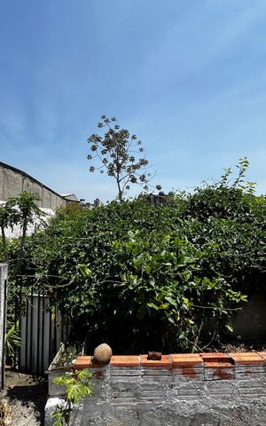 Casa à venda com 110m², 2 quartos e 2 vagas Casa à venda com 110m², 2 quartos e 2 vagasQuintal