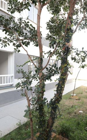 Apartamento à venda com 30m², 2 quartos e sem vagaÁrea comum