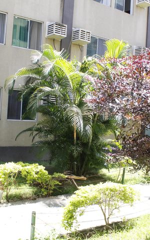 Apartamento para alugar com 60m², 2 quartos e 1 vagaVista da Sacada