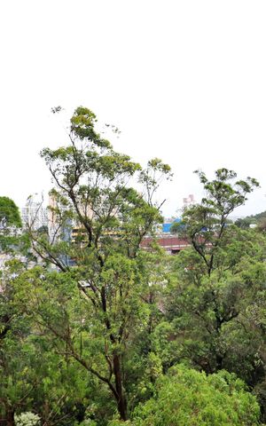 Apartamento para alugar com 49m², 2 quartos e 1 vagaQuarto 1 Vista