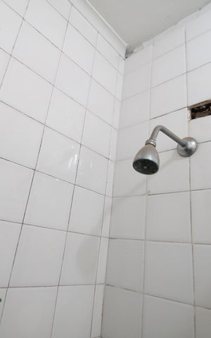 Casa para alugar com 370m², 5 quartos e 4 vagasBanheiro de serviço
