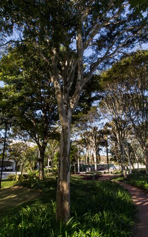 Casa de condomínio à venda com 645m², 4 quartos e 3 vagasÁrea comum - Playground