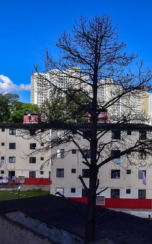 Apartamento à venda com 51m², 2 quartos e 1 vagaVista do Quarto 2