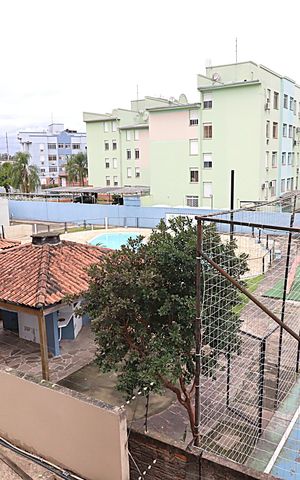 Apartamento para alugar com 50m², 2 quartos e 1 vagaVista do Quarto 1