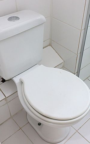 Apartamento para alugar com 50m², 2 quartos e 1 vagaBanheiro social