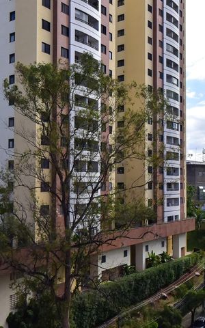 Apartamento à venda com 62m², 3 quartos e 1 vagaVista