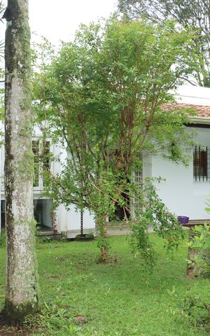 Casa de condomínio para alugar com 750m², 5 quartos e 6 vagasÁrea comum