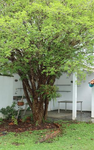 Casa de condomínio para alugar com 750m², 5 quartos e 6 vagasÁrea comum