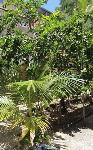 Casa de condomínio à venda com 260m², 3 quartos e 2 vagasQuintal