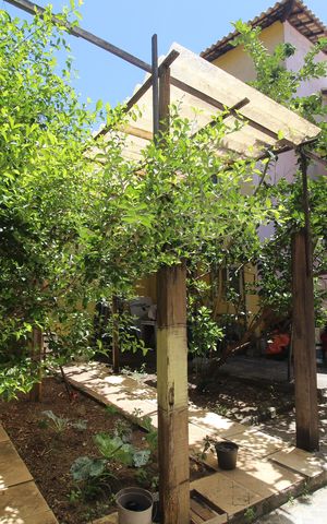 Casa de condomínio à venda com 260m², 3 quartos e 2 vagasQuintal