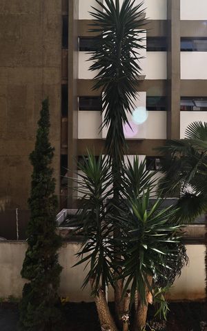 Apartamento à venda com 135m², 4 quartos e 2 vagas Apartamento à venda com 135m², 4 quartos e 2 vagasVista da Sacada