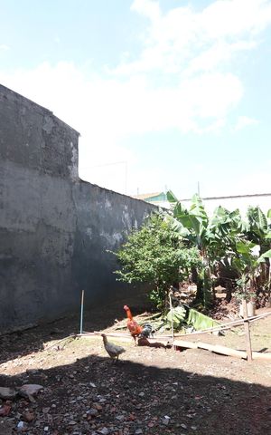 Casa à venda com 209m², 3 quartos e 7 vagasQuintal