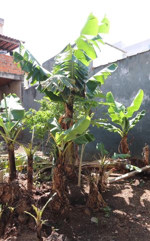 Casa à venda com 209m², 3 quartos e 7 vagasQuintal