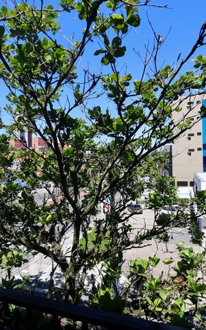 Apartamento para alugar com 110m², 4 quartos e 2 vagas Apartamento para alugar com 110m², 4 quartos e 2 vagasVista Varanda Quarto 2