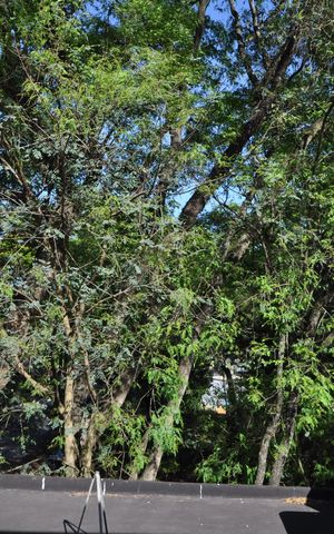 Casa à venda com 125m², 3 quartos e 2 vagasVista do Quarto 3