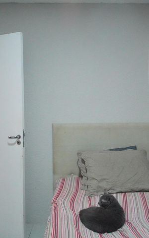 Apartamento para alugar com 42m², 2 quartos e 1 vagaQuarto 1