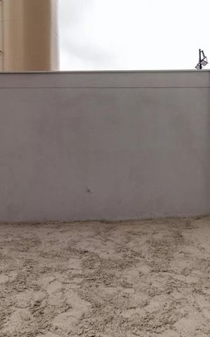 Apartamento à venda com 34m², 2 quartos e sem vagaQuadra Esportiva