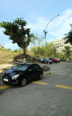 Apartamento à venda com 84m², 3 quartos e sem vagaÁrea comum - Verde