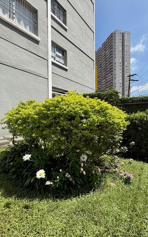Apartamento para alugar com 43m², 1 quarto e 1 vaga Apartamento para alugar com 43m², 1 quarto e 1 vagaJardim