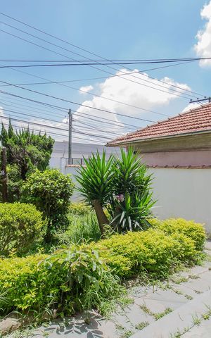 Casa para alugar com 500m², 3 quartos e 3 vagas Casa para alugar com 500m², 3 quartos e 3 vagasJardim