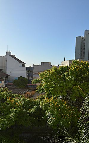 Apartamento à venda com 71m², 2 quartos e 2 vagasVista da Janela da Sala