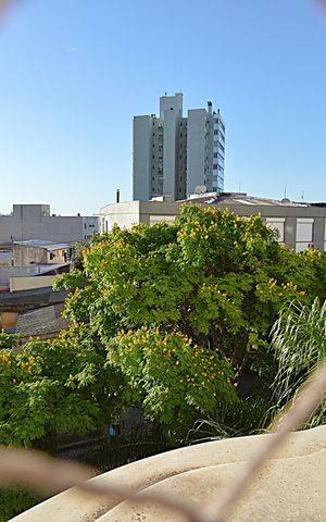 Apartamento à venda com 71m², 2 quartos e 2 vagasVista da Janela da Área de serviço