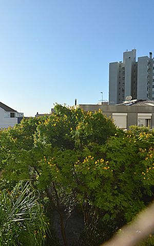 Apartamento à venda com 71m², 2 quartos e 2 vagasVista da Sala Escritório