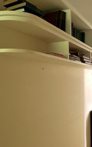 Apartamento à venda com 255m², 3 quartos e 4 vagas