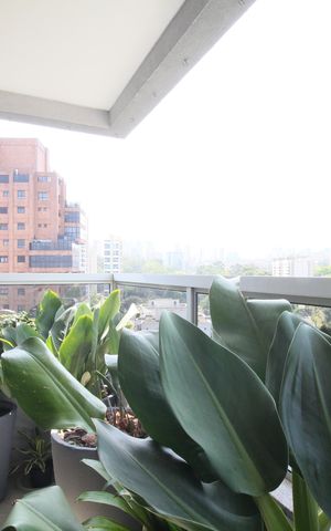 Apartamento à venda com 217m², 3 quartos e 3 vagasSacada Suíte
