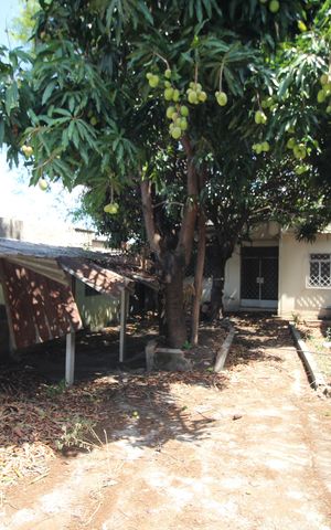 Casa à venda com 147m², 3 quartos e 4 vagasQuintal