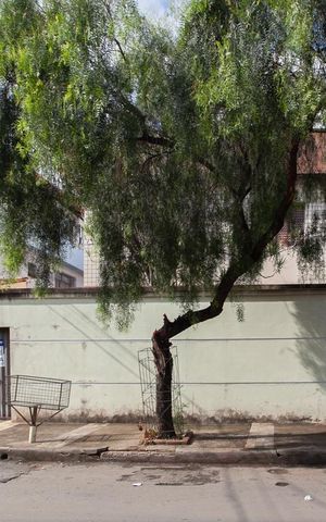 Apartamento para alugar com 83m², 3 quartos e 1 vaga Apartamento para alugar com 83m², 3 quartos e 1 vagaFachada