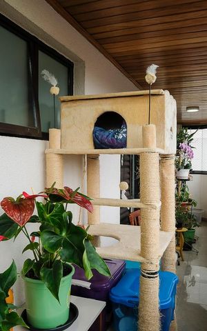 Apartamento à venda com 140m², 4 quartos e 2 vagasVaranda