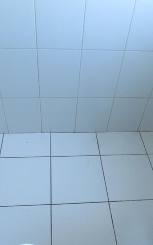Apartamento à venda com 53m², 2 quartos e 1 vagaCozinha - Área de Serviço