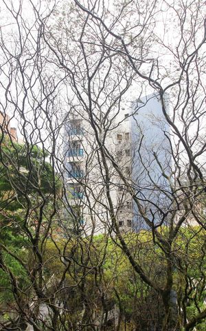 Apartamento à venda com 198m², 3 quartos e 4 vagasVista da Varanda da Sala