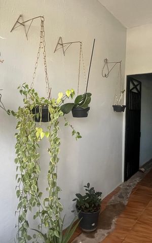 Casa à venda com 178m², 2 quartos e 3 vagas