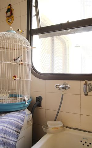 Apartamento para alugar com 150m², 4 quartos e 3 vagasÁrea de Serviço
