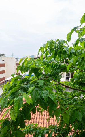 Apartamento à venda com 100m², 3 quartos e 1 vagaVista